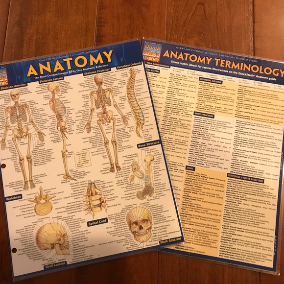 ANATOMY AND ANATOMY TERMINOLOGY QUICKSTUDY LAMINATED REFERENCE GUIDE - Picture 1 of 9